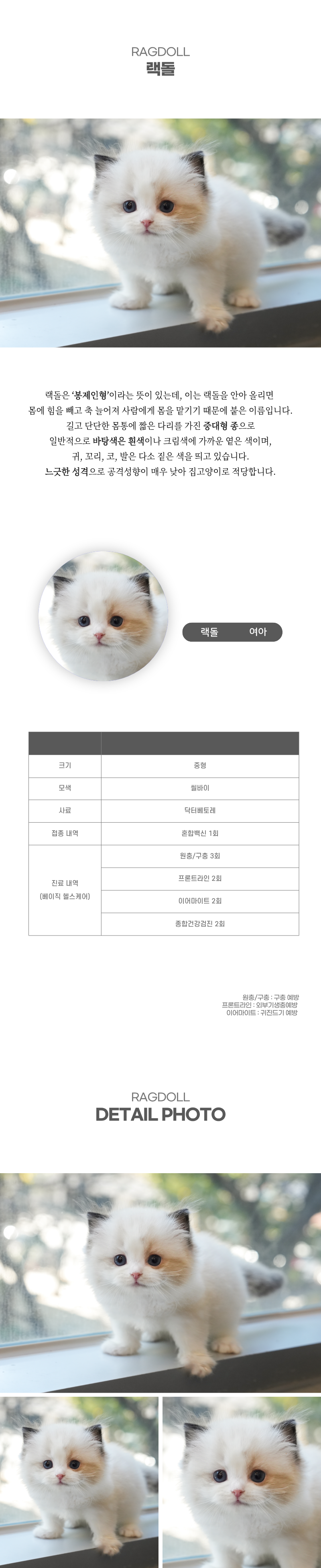 랙돌_상세이미지_2